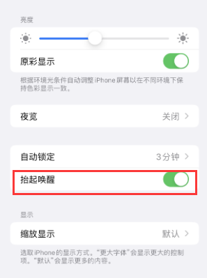 庐江苹果授权维修站分享iPhone轻点无法唤醒怎么办