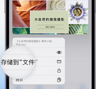 庐江apple维修中心分享iPhone文件应用中存储和找到下载文件