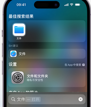 庐江apple维修中心分享iPhone文件应用中存储和找到下载文件 