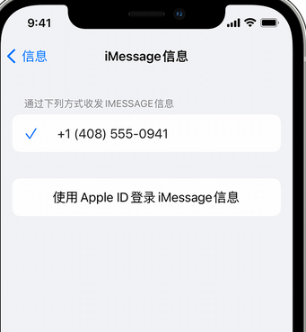 庐江apple维修iPhone上无法正常发送iMessage信息 