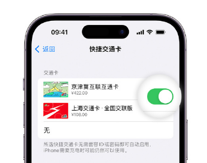 庐江apple维修点分享iPhone上更换Apple Pay快捷交通卡手绘卡面 