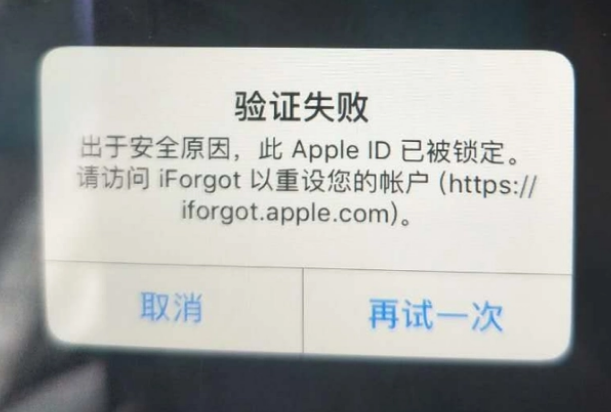 庐江iPhone维修分享iPhone上正常登录或使用AppleID怎么办 