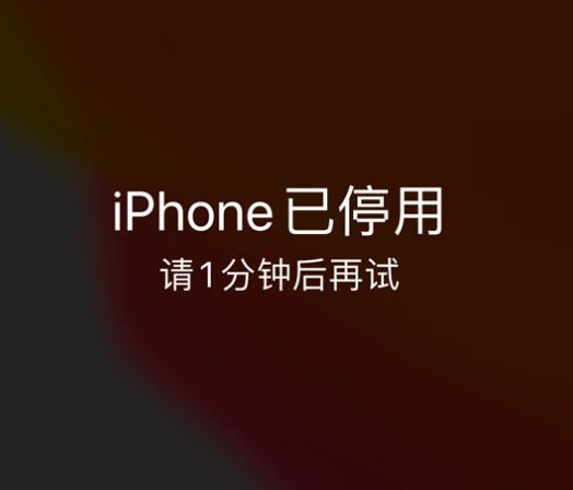 庐江苹果手机维修分享:iPhone 显示“不可用”或“已停用”怎么办？还能保留数据吗？ 