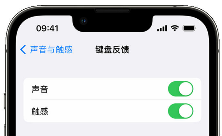 庐江苹果手机维修分享iPhone 14触感键盘使用方法 