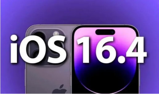 庐江苹果14维修分享：iPhone14可以升级iOS16.4beta2吗？ 