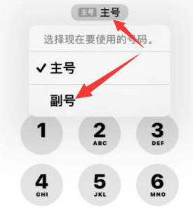 庐江苹果14维修店分享iPhone 14 Pro Max使用副卡打电话的方法 