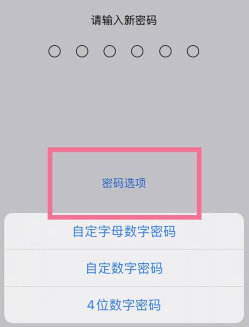 庐江苹果14维修分享iPhone 14plus设置密码的方法 