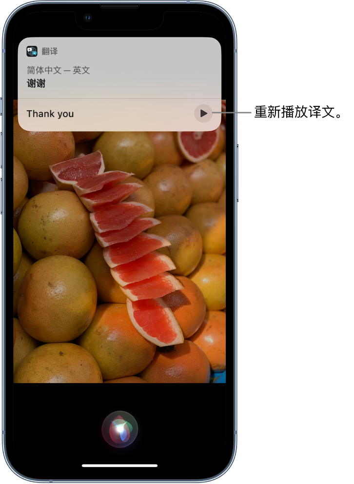 庐江苹果14维修分享 iPhone 14 机型中使用 Siri：了解 Siri 能帮你做什么 