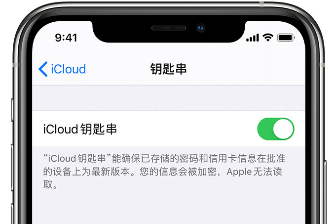 庐江苹果手机维修分享在 iPhone 上开启 iCloud 钥匙串之后会储存哪些信息 