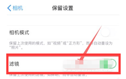 庐江苹果13维修分享iPhone13拍照有绿点是怎么回事 