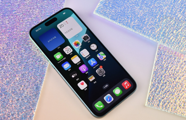 庐江苹果手机维修分享为什么大家不喜欢苹果iPhone 16 Plus 
