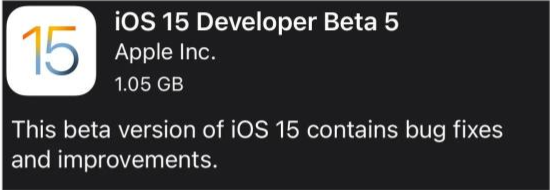 庐江苹果手机维修分享如何升级到iOS15.0 beta5 