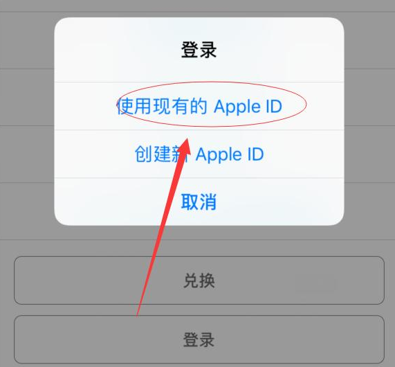 庐江苹果手机维修分享两台iPhone设备可以同时登录一个Apple ID吗 