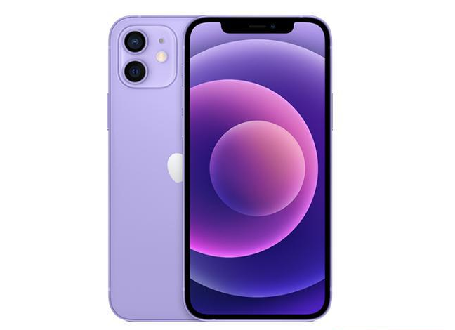 庐江苹果手机维修分享现阶段要不要入手紫色版iPhone12 