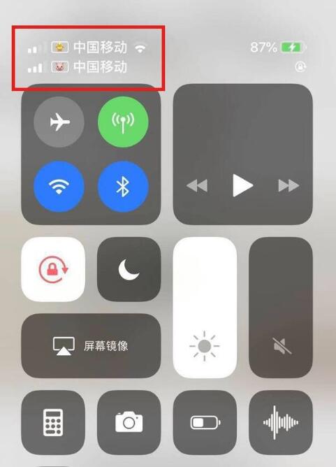 庐江苹果手机维修分享为 iPhone 12 双卡设置标签 