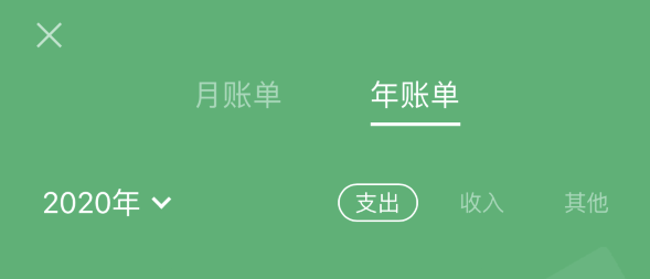 庐江苹果手机维修分享如何在 iPhone 上查看支付宝和微信年支出账单 