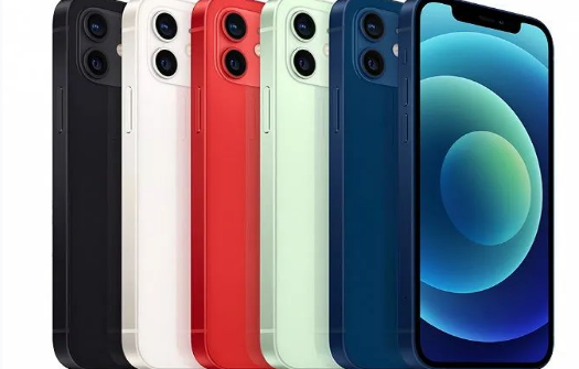 庐江苹果维修点分享iPhone12 Pro Max进水维修 